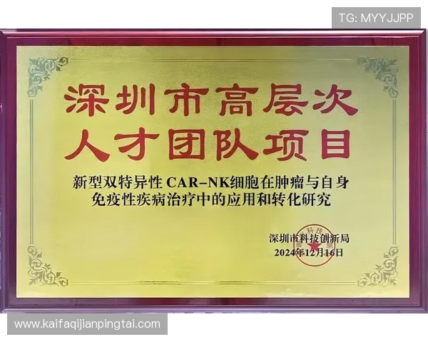 k8凯发官方网站入口的安全登录验证流程全方位解析